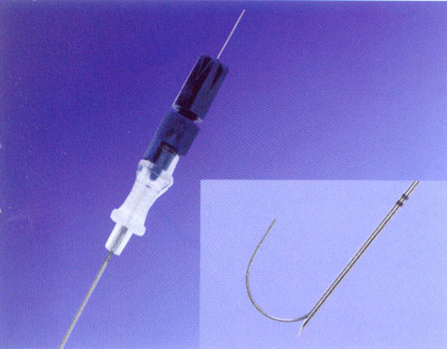 Homer Mammalok���ٶ�λ�